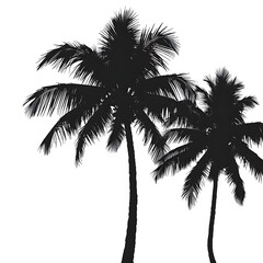 Silhouette of Two Palm Trees Against a White Background