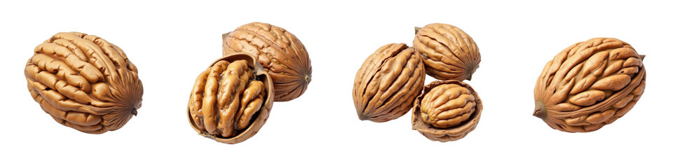 Collection of Walnuts In Shell and Cracked Open Isolated