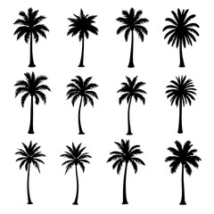 Set palm silhouettes isolated on white background
