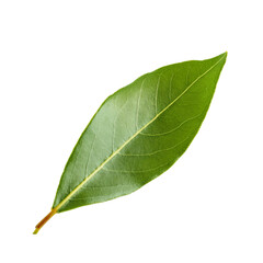Obraz premium Fresh green bay leaf with transparent background, ideal for food and cooking projects