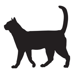 Elegant Cat Silhouette