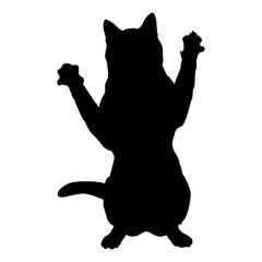 Elegant Cat Silhouette