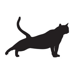 Elegant Cat Silhouette