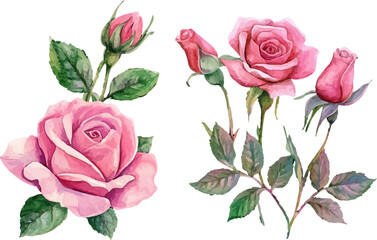 Naklejka premium bouquet of pink roses