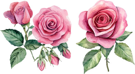 Fototapeta premium bouquet of pink roses