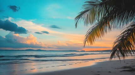 Fototapeta premium Beach scene with palm tree water sand and sky at sunset or sunrise.