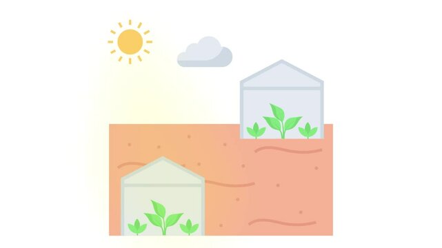 Polytunnels in fields with sun animation, hoop greenhouse animated video, Digital ai Agribusinesses Clip, e-agriculture footage, smart farming motion graphics