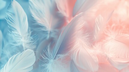 Delicate white and pastel colored feathers float gently together, creating a soft and serene atmosphere. The blend of colors emphasizes the gentle nature of the feathers