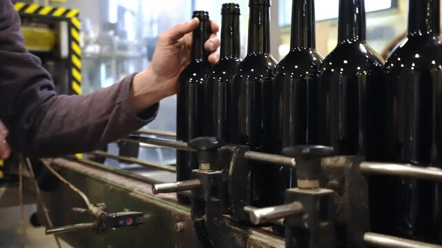 Moving conveyor belt with glass bottles of red wine, employee putting bottles on belt for labelling before store distribution, red wine production and automated bottling conveyor