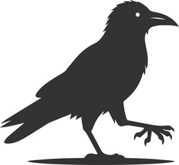 Vector black crow bird animal silhouette