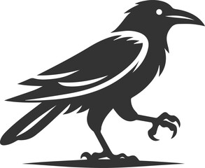 Vector black crow bird animal silhouette