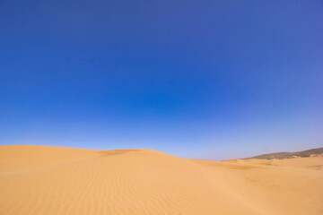 Vast Desert Landscape Under Clear Sky