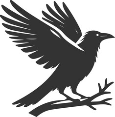 Vector black crow bird animal silhouette