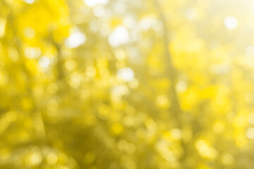 abstract green golden  bokeh background
