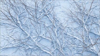 Obraz premium Winter Landscape with Snow-Covered Branches Against Blue Background