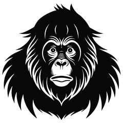 Borrnin orangutan vector