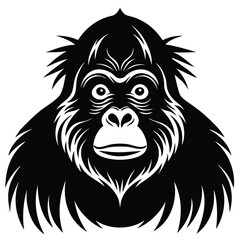 Borrnin orangutan vector