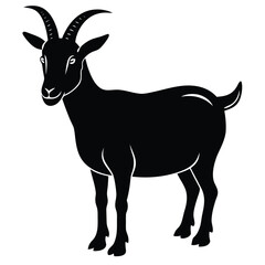 Obraz premium toggenburg goet