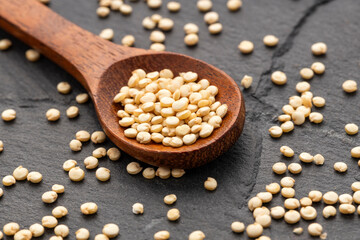 Quinoa seeds in the spoon - Chenopodium quinoa