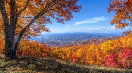 Fototapeta premium A scenic autumn view from a mountain, showcasing layers of colorful trees and a clear blue sky