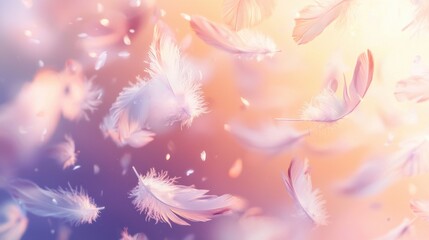 Fototapeta premium Soft feathers drift through the air, illuminated by gentle pastel colors at dawn. The serene atmosphere evokes a sense of calm and tranquility, inviting reflection