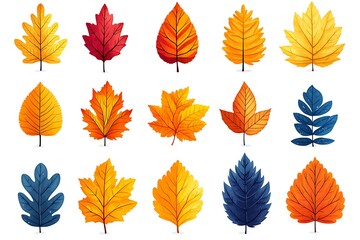 Obraz premium Colorful Autumn Leaves Vector Illustration Collection With Various Shape And Colors