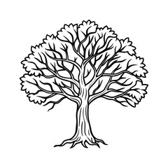 a banyan tree line art vector