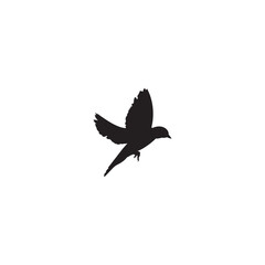 bird silhouette