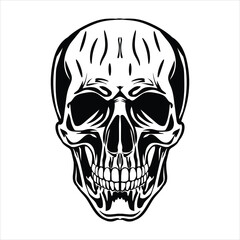 Skull graphic design.