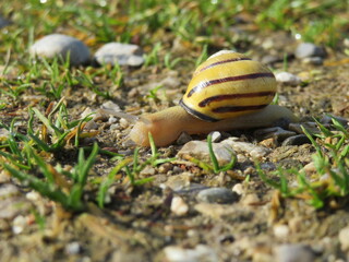 Bilder der Natur zur Entspannung