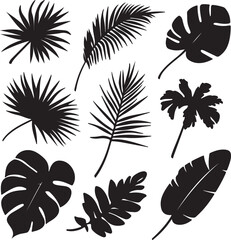 Tropical leaves vector. Set of palm leaves silhouettes isolated on white background