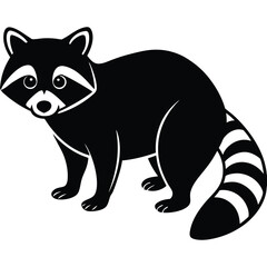Raccoon vector animal