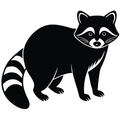 Raccoon vector animal