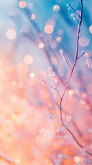 Fototapeta premium Frosted branches, soft light, winter bokeh.