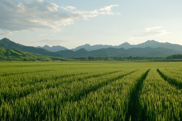 Obraz premium Lush Green Field Meets Distant Mountains