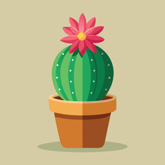cactus in a pot