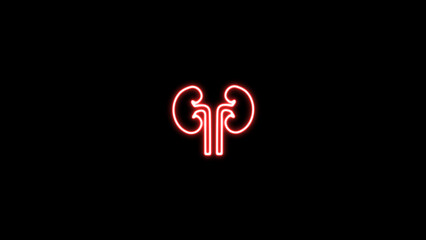 Kidneys neon line icon, line art style icon, human internal organs.