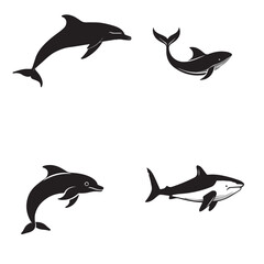 dolphins and whales, black and white images, graphics, vector, set of 4 pieces
