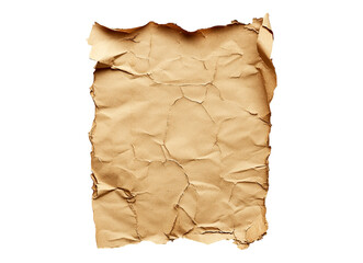 Fototapeta premium Brown damaged paper