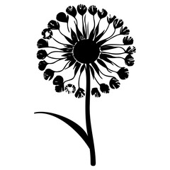 Minimalist Dandelion Vector Silhouette Illustration