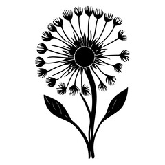 Dandelion black and white silhouette illustration