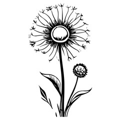 Monochrome Dandelion Silhouette Design Element