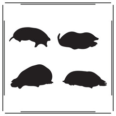 Moles silhouette, Moles illustration ,Moles clipart, Moles vector , Moles icon , black Moles, Moles illustration on white background,