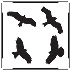 Osprey silhouette, Osprey illustration , Osprey clipart, Osprey vector , Osprey icon , black Osprey, Osprey illustration on white background,
