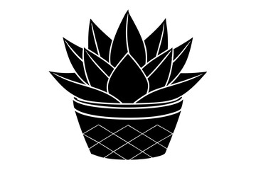 Haworthia Cooperi Succulent Potted Plant Flat Icon

