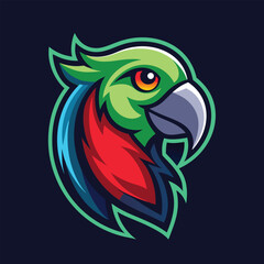 parrot on a white background