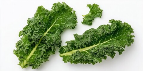 Obraz premium Green Curly Kale Bunch Isolated on White Background for Organic Vegetable and Superfood Theme
