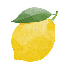 Lemon fruit Design elements. watercolour style vector illustration
