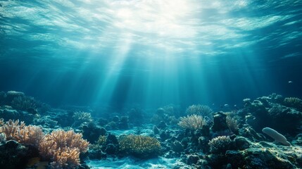 Fototapeta premium Sunbeams illuminate vibrant coral reef underwater. Perfect for marine conservation