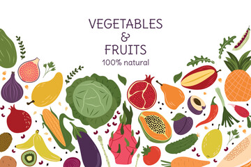 A banner with fresh, natural fruits, hand-drawn in a modern style on a white background. Vector design for covers, posters, banners and more.